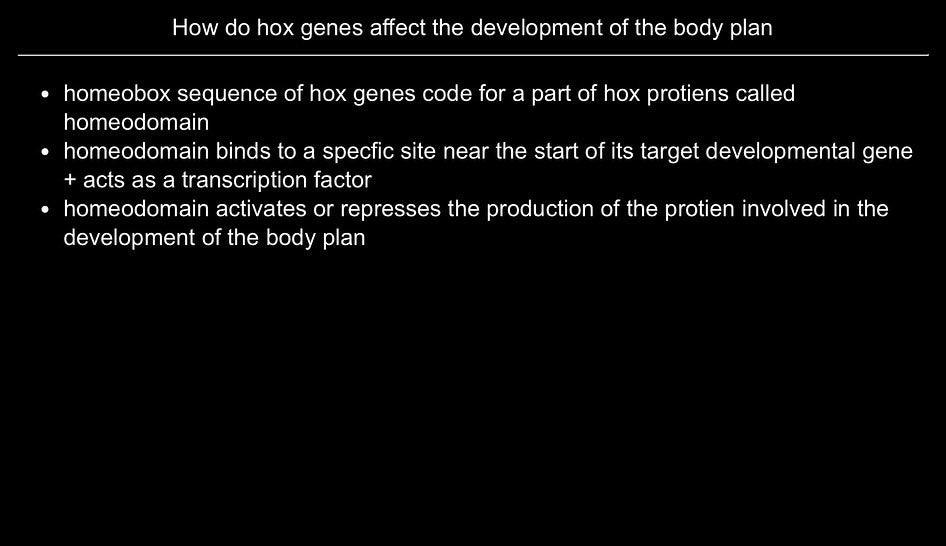 A-Level Biology and Chemistry Anki Flashcards - OCR